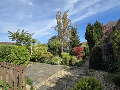 Picture 23
